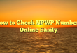 How to Check NPWP Numbers Online Easily