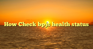 How Check bpjs health status