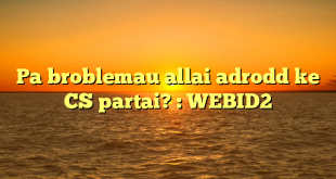 Pa broblemau allai adrodd ke CS partai? : WEBID2