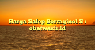 Harga Salep Borraginol S : obatwasir.id