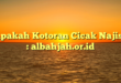 Apakah Kotoran Cicak Najis? : albahjah.or.id