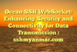 Ocean SSH WebSocket: Enhancing Security and Connectivity for Data Transmission : sshmyanmar.com