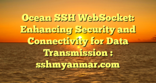 Ocean SSH WebSocket: Enhancing Security and Connectivity for Data Transmission : sshmyanmar.com